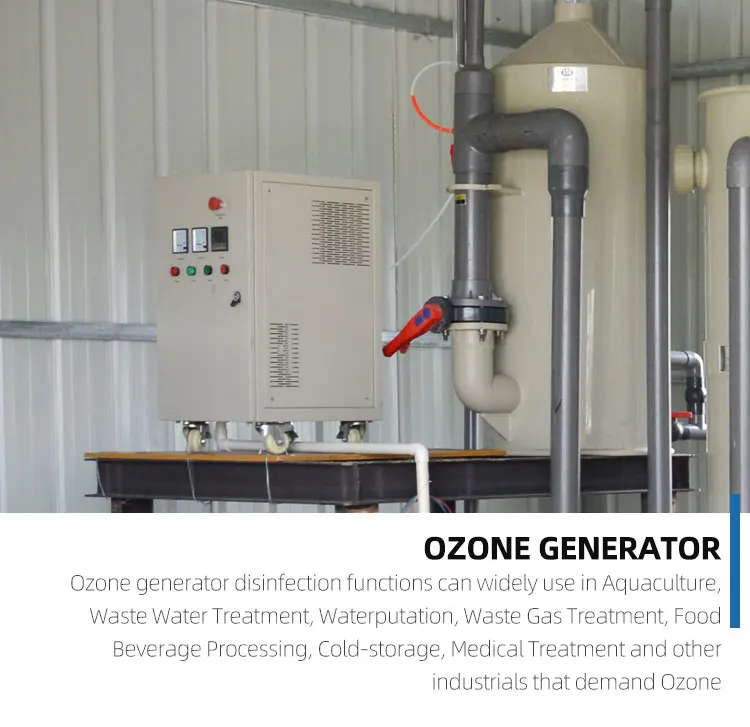 Ozone Generator (3).jpg