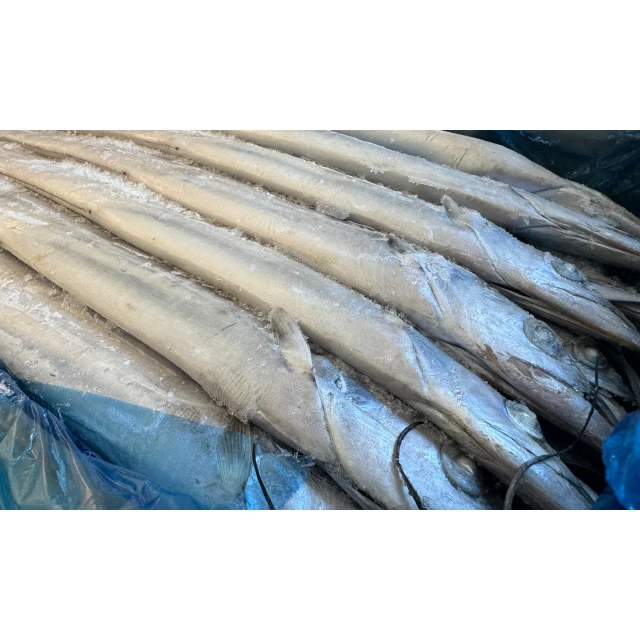 Fresh Frozen Seafood Belt Fish Sales Price Reasonable Quality Seafood