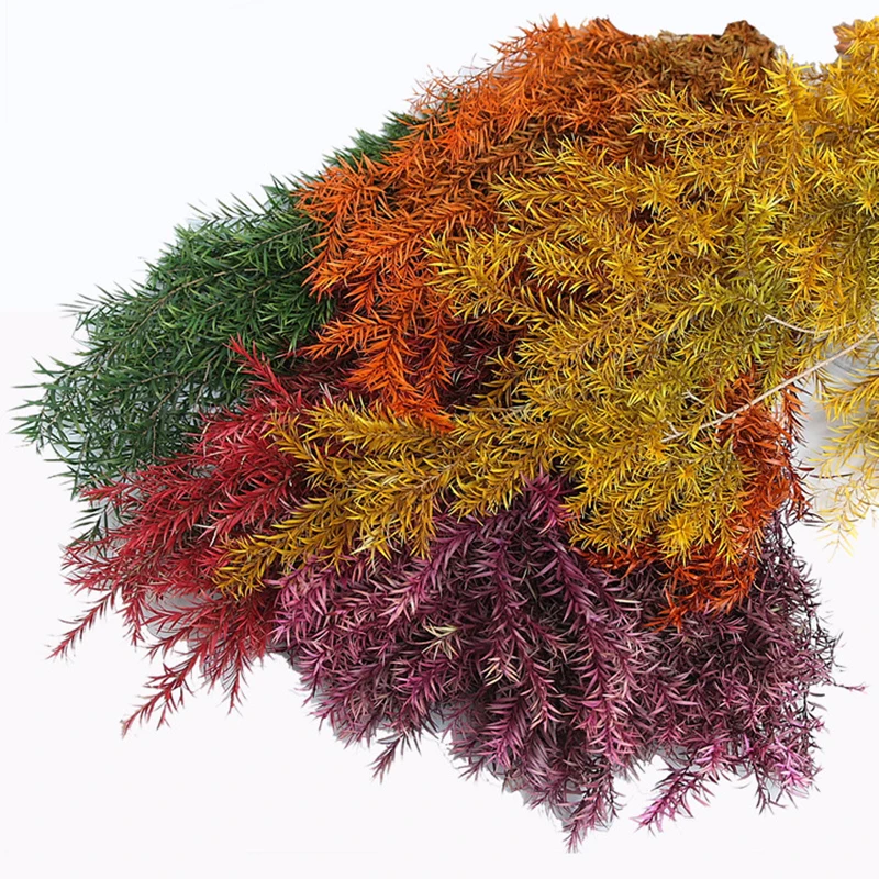 Wholesale Preserved Wall Moss Letters Box Lichen Stabilized Irish Moss