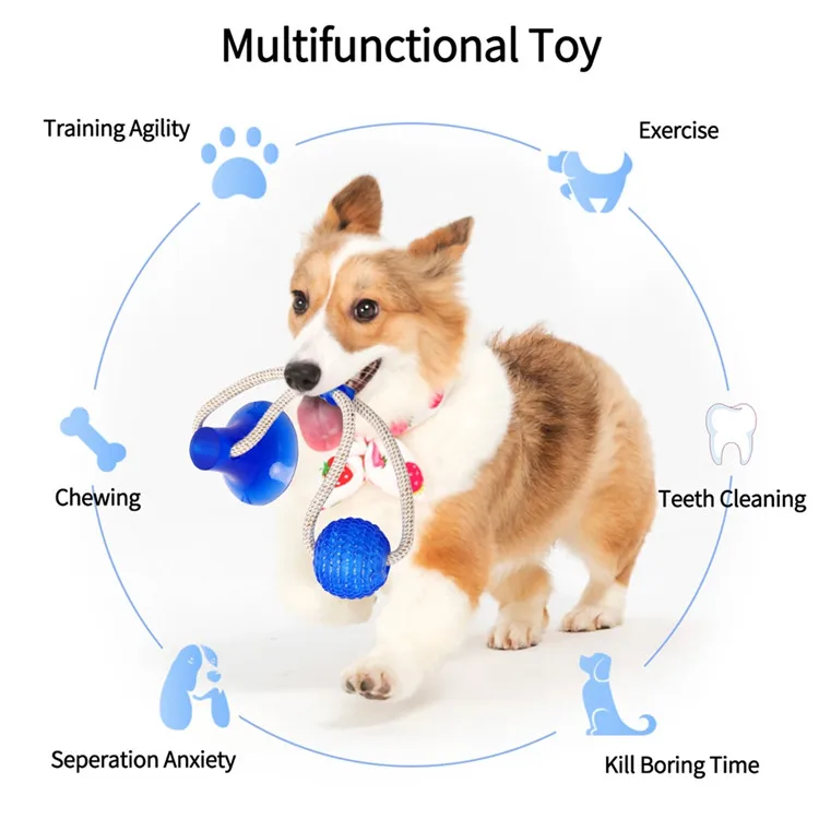 Dog Biting Toy2.jpg