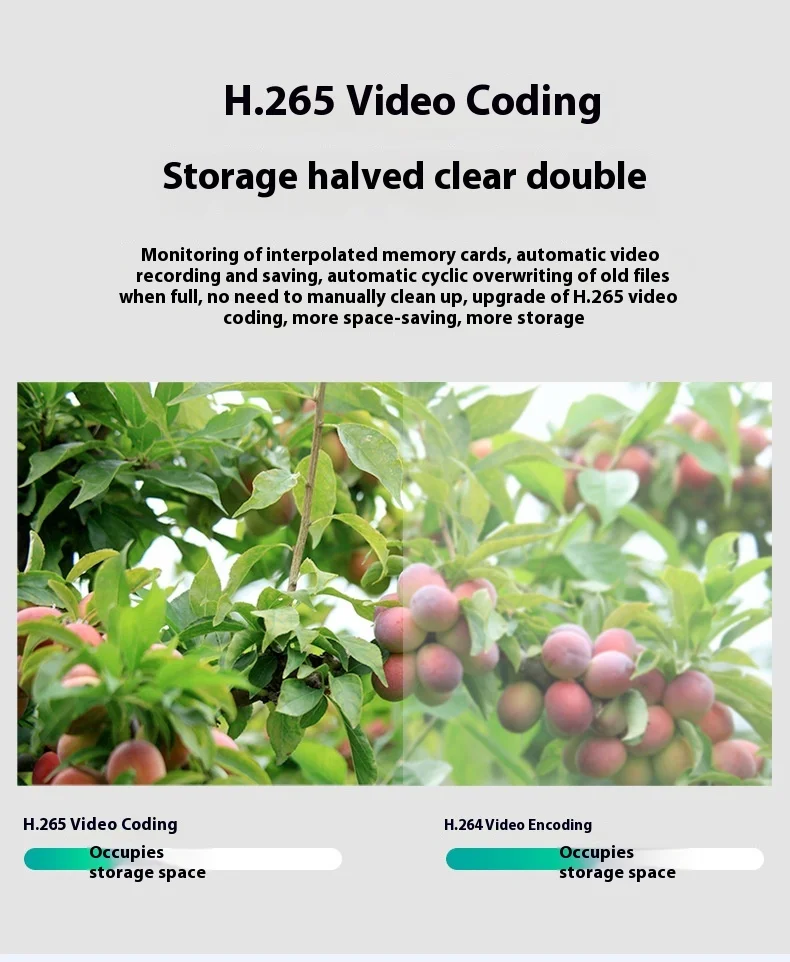 Cloudbirds V360pro 3MP IP66 Waterproof Solar Camera Outdoor Wireless Remote Surveillance Night Vision AI Tracking Supports Cloud