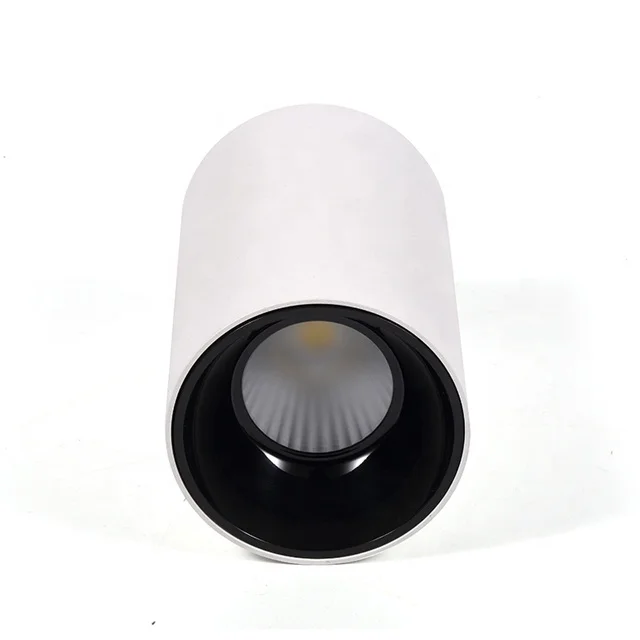 Dali dimmable 20W 2700K built inside driver Cob Surface Mounted Pendant Led Downlight Fixture with Lifud driver