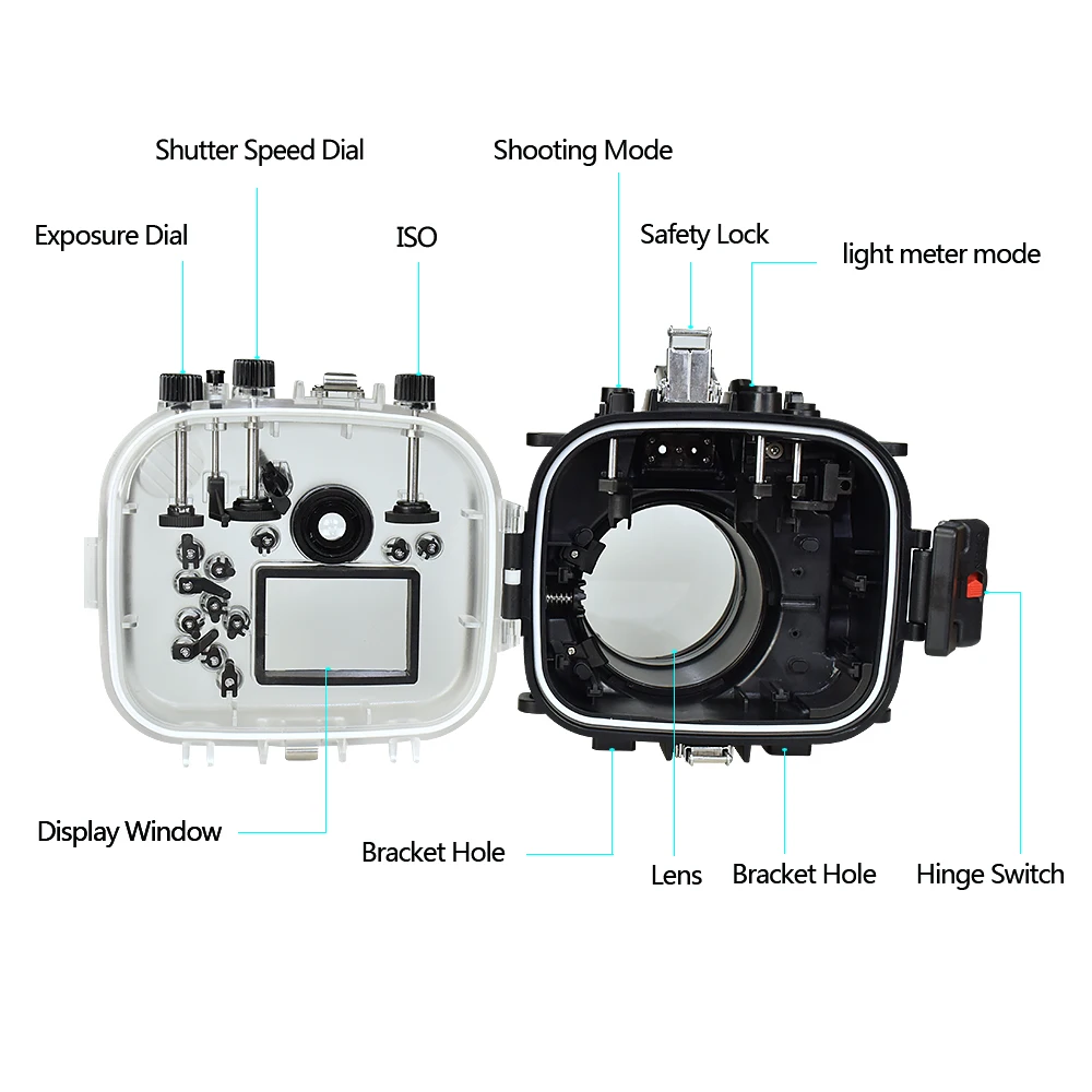 9 (4).jpg