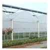 PE Plastic Processed film multi span greenhouses
