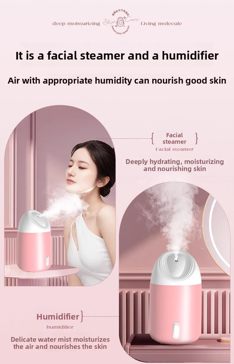 Portable hydrating facial steamer