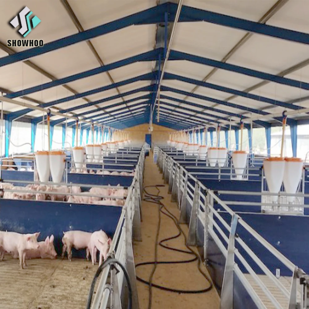 Construction Farm Design Steel Structure Pig Shed - Buy Construction ...