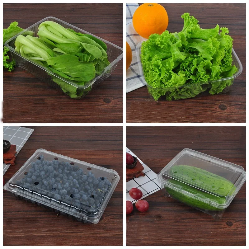 Green Grocery Lettuce Packing Disposable High Transparency Pet