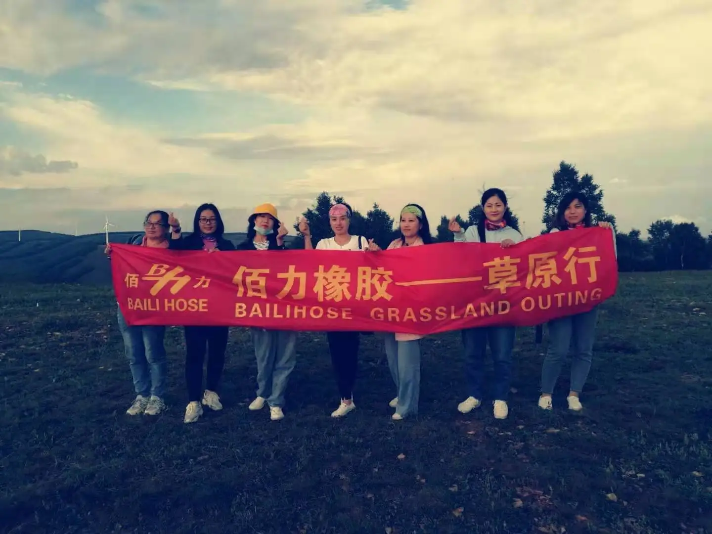 Universal Germany Technology Hydraulic Hose Buy Hydraulic Hose And