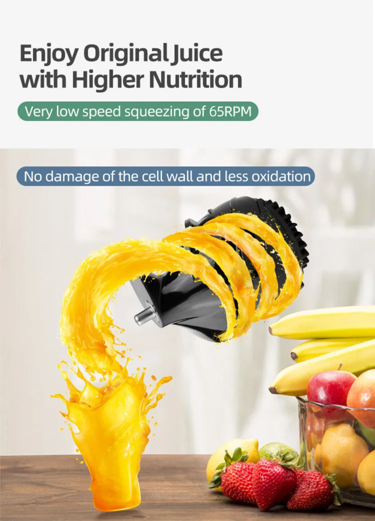 Whole Fruit Silent Working Multifunction Slow Juicer Extractor Buy