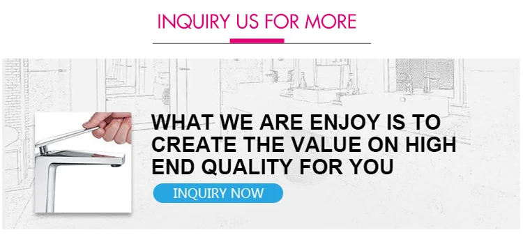 inquiry us for more.png