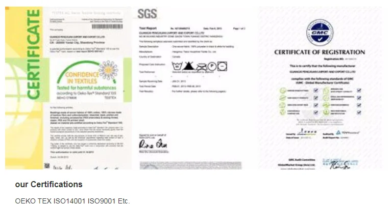 paste-pic-dp_uuid_ghbc4