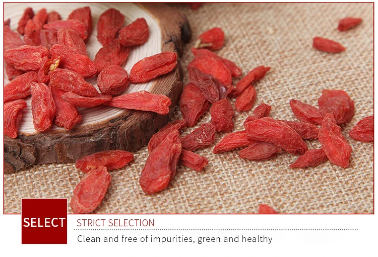 High Quality 100% Pure Natural Fresh Dried Organic Chinese Gouqi Berry Organic/ Lycium / Wolfberry