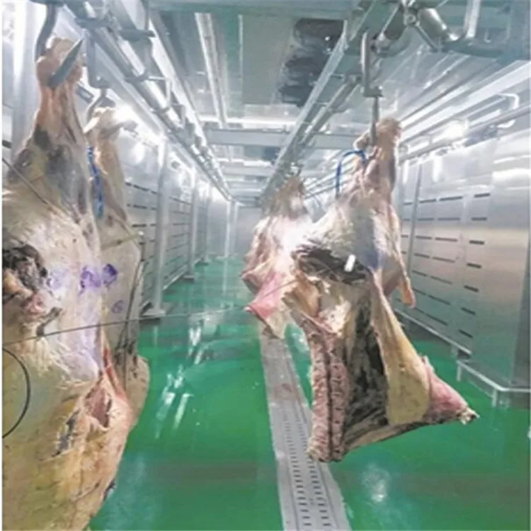 Meat plant freezing and thawing machine