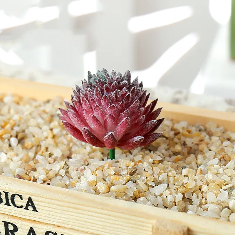 succulents live (16).jpg