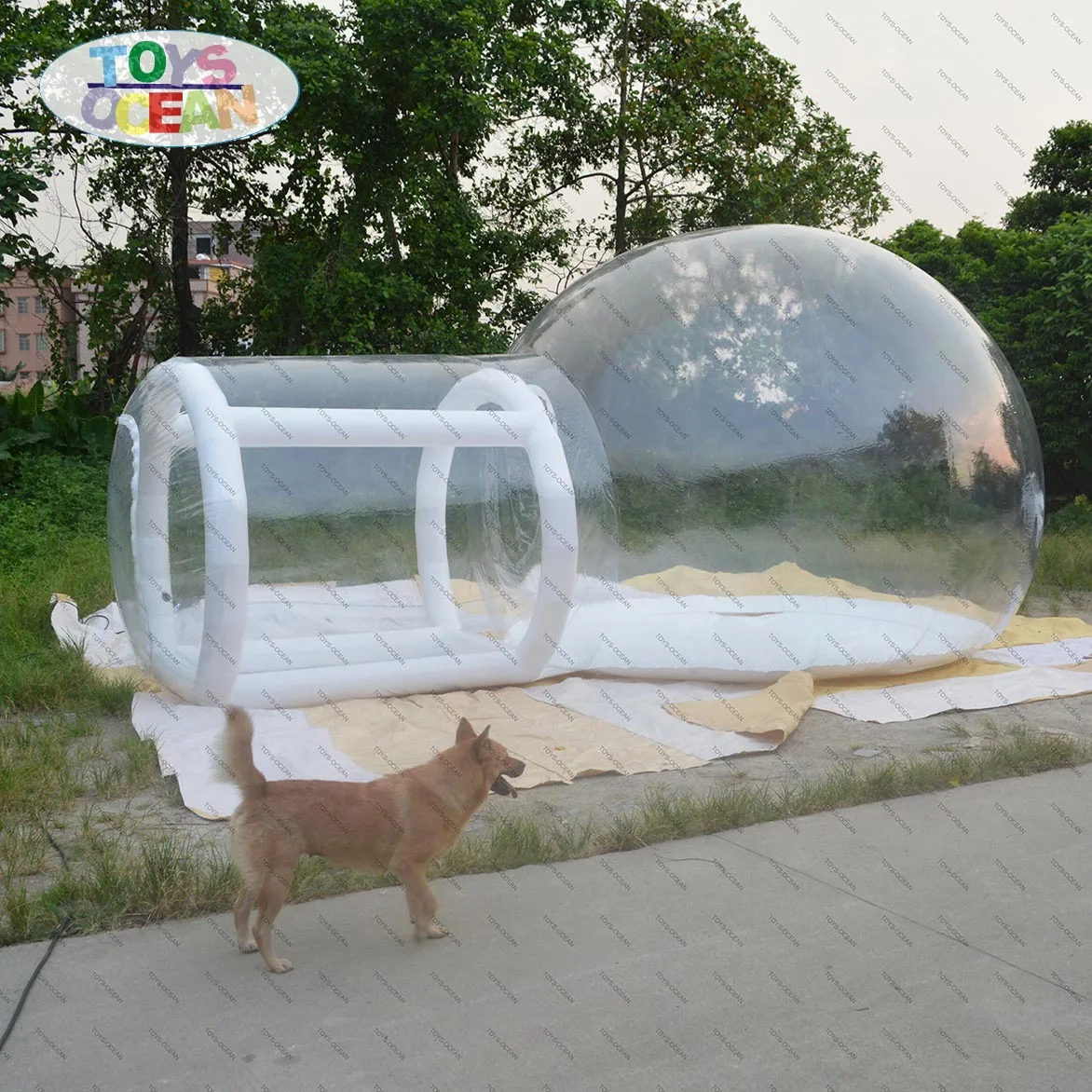 inflatable bubble igloo