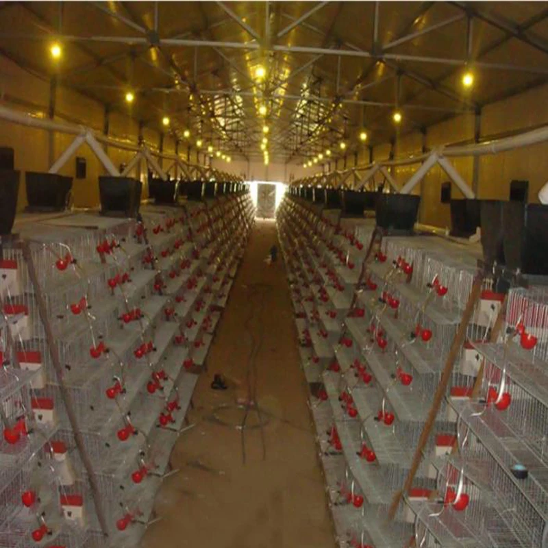 Durable Plastic Quail Bird Feeder Trough Quail Automatic Feeder Buy