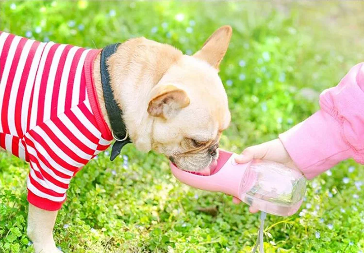 Pet dog water bottle34