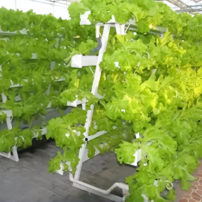 Vertical Nft Hydroponics Farm For Growing Lettuce - Buy Vertical ...