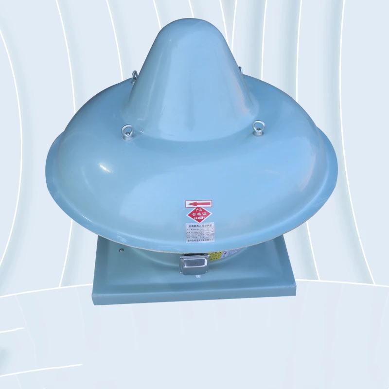 Axial Flow Fan, DWT, Centrifugal, Roof, FRP - detail 4