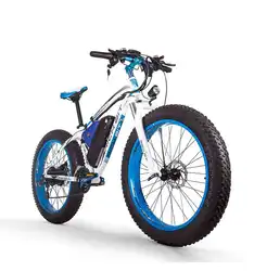 Cheap hot sale top quality Attractive Price New Type fat tires electric snow bike