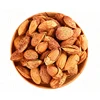 Wholesale Fresh Badam Almonds Almonds In Shell