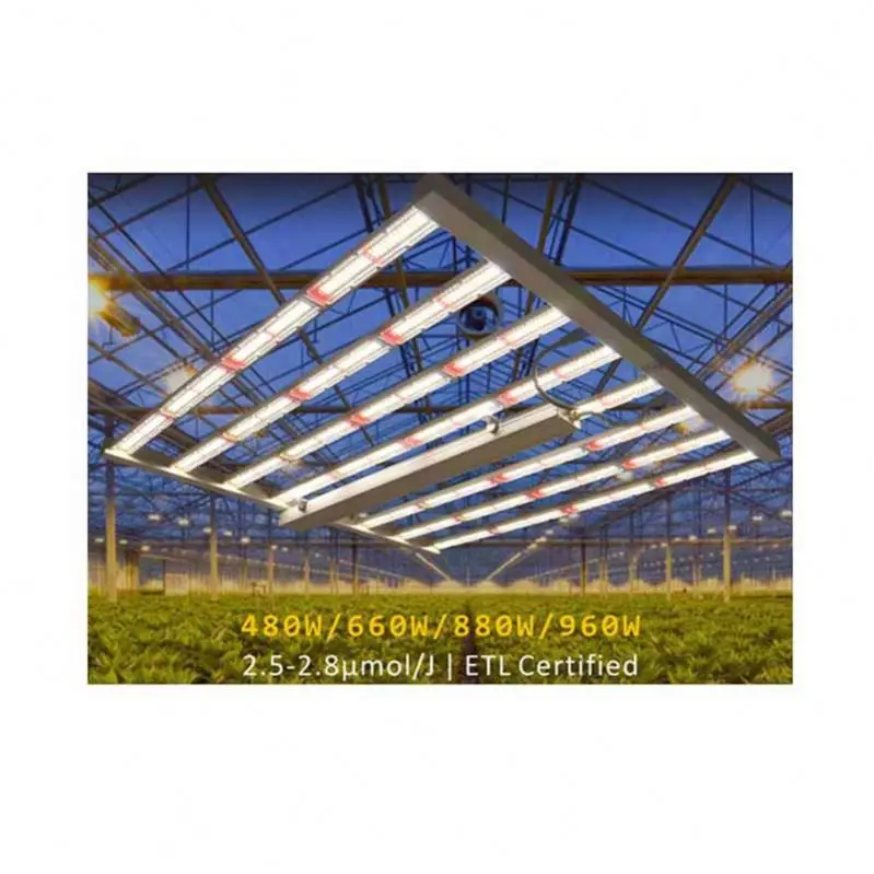 Factory Wholesale Smd Led Grow Light With Veg And Bloom