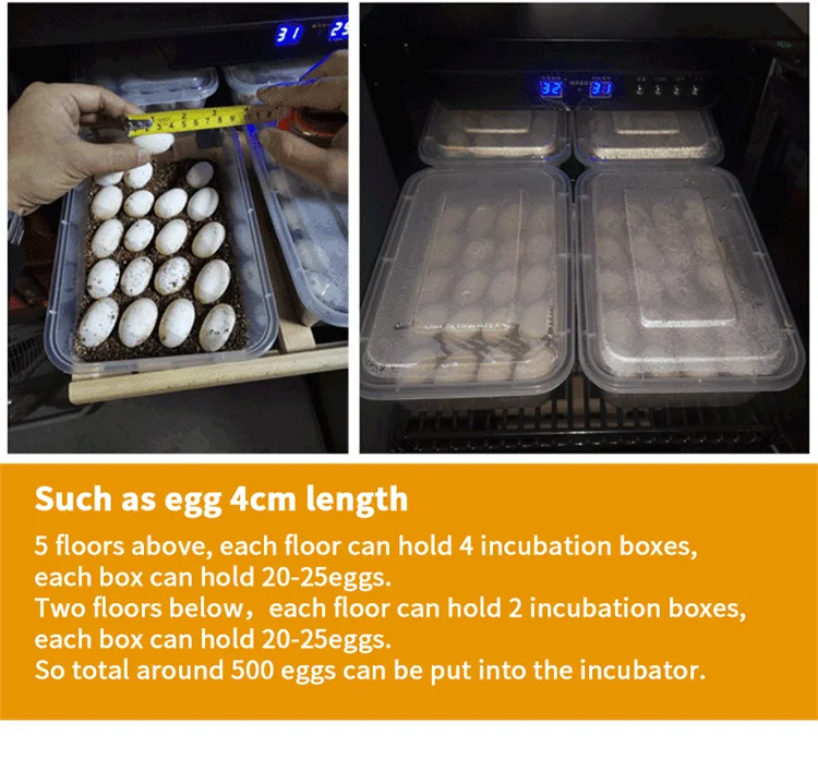Reptile Digital Egg Incubator Hatching Machine For Snake Gecko