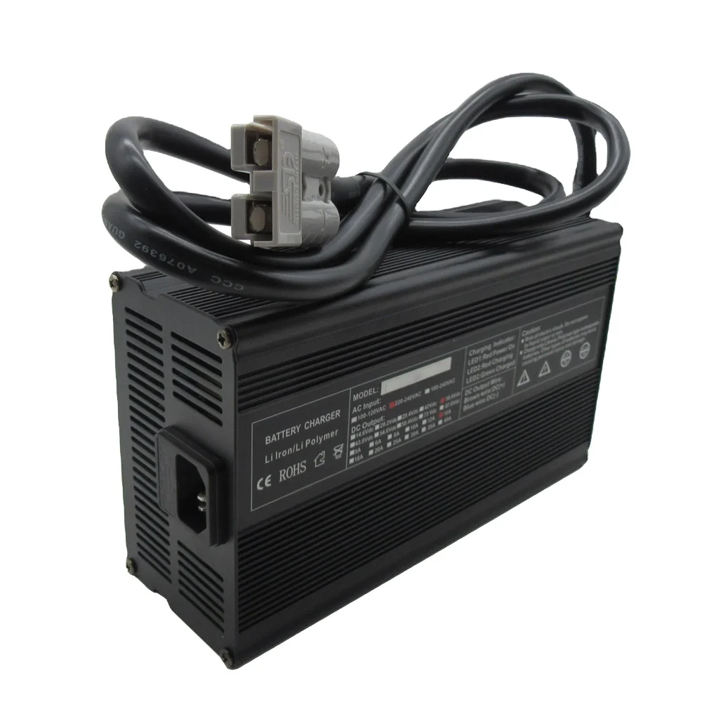 Custom 12v 25a 24v 20a 36v 15a 48v 12a 60v 10a 72v 8a 600w Battery ...