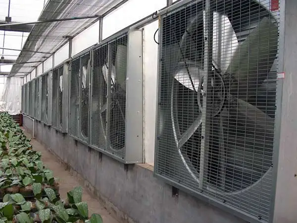 所有行业  农业 农用机械与设备  大棚 其他温室