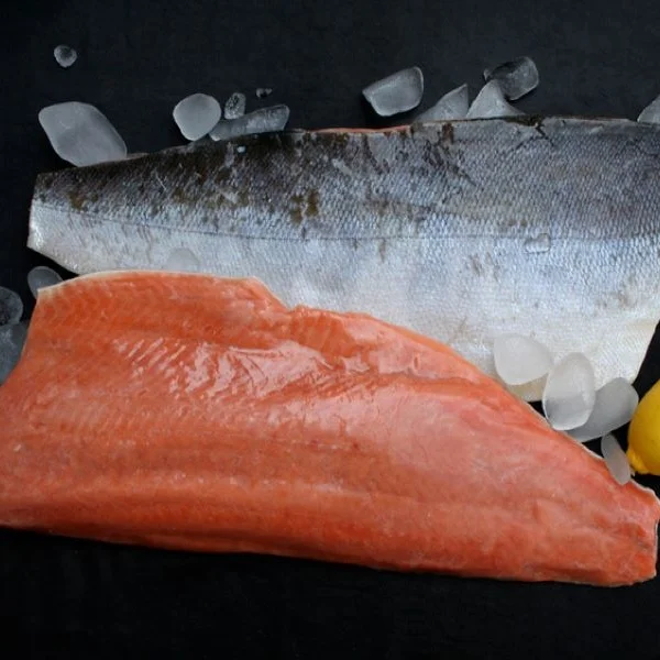 frozen salmon fish fillet