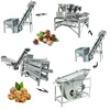 High performance walnut dehusker nut drying machine