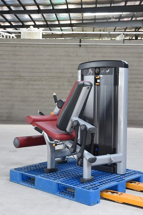 LS-916 Leg Extension (3).JPG