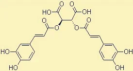 Cichoric Acid.png