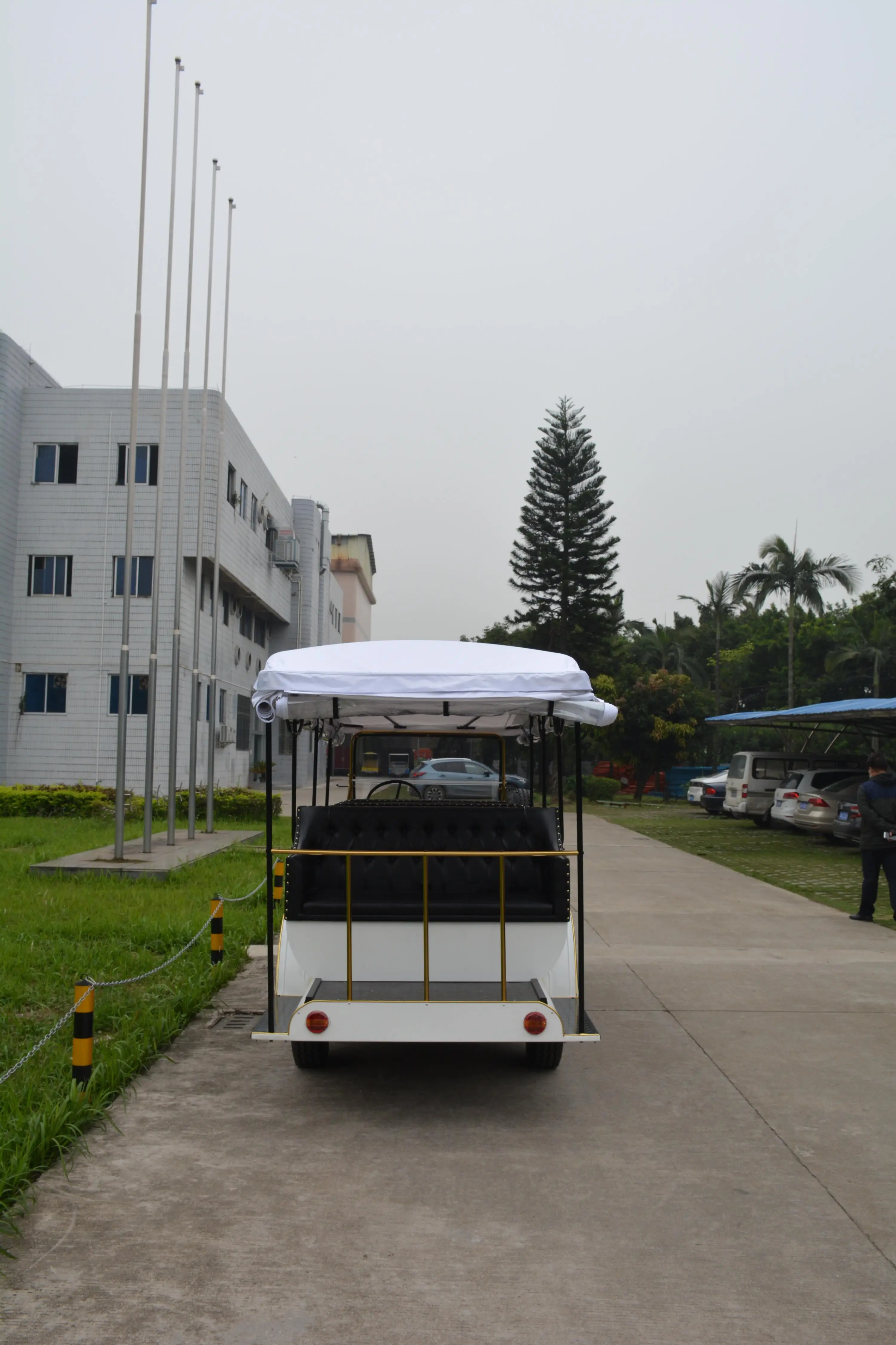 Rariro 9-12 seats electric metal body vintage buggy cart for Club, Golf Course, Hotel, School