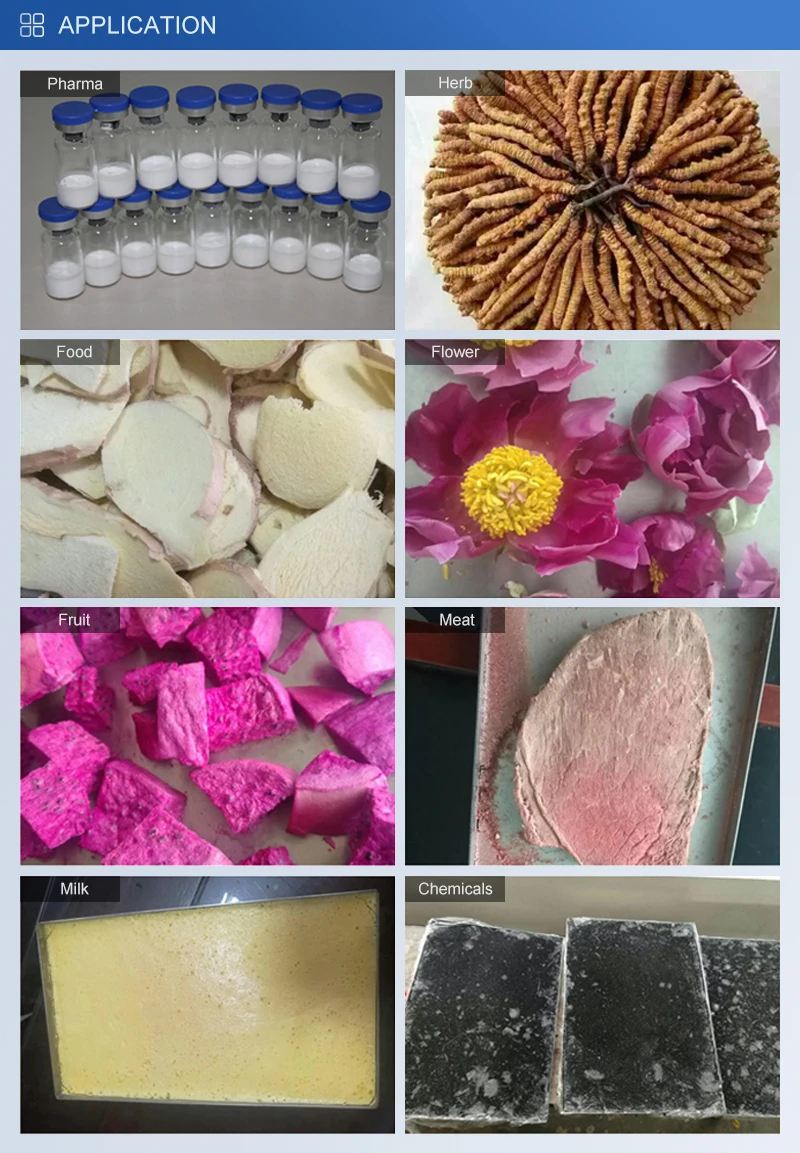 Small pharmaceutical plastic vials freeze dryer laboratory for lyophilization