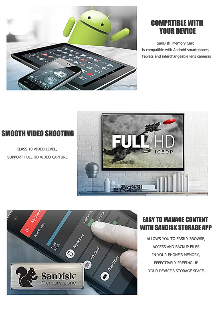 SD (11).jpg