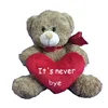 Customize Personalized Solid Color Brown Teddy Bear With Big Heart in Hand