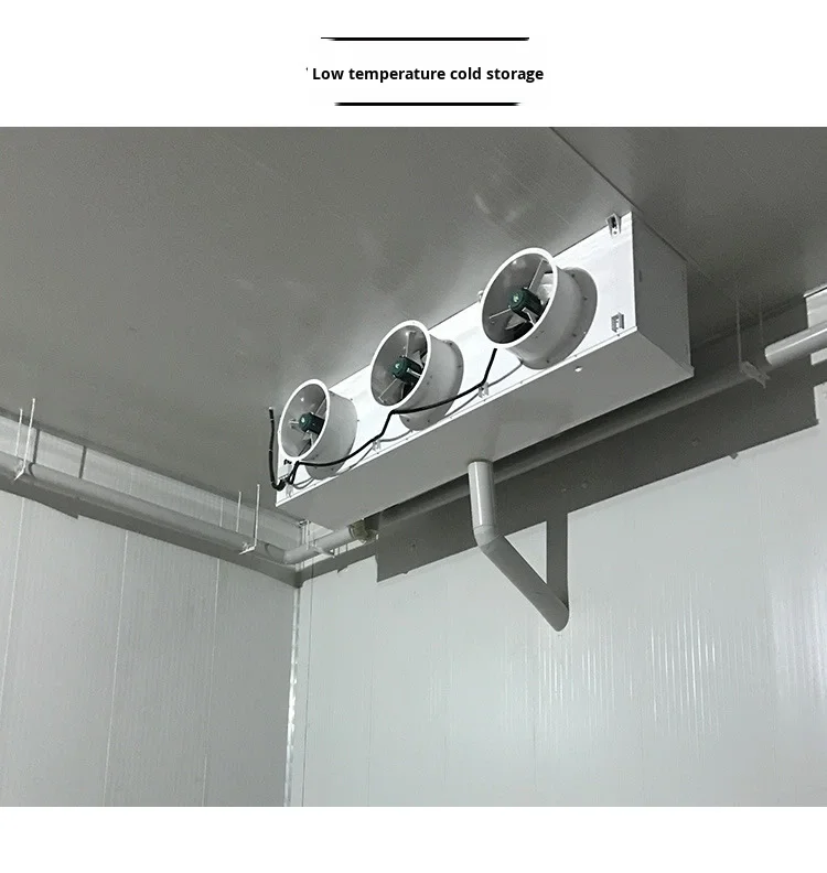 Efficient Electric Motor, Stainless, Steel - detail 14