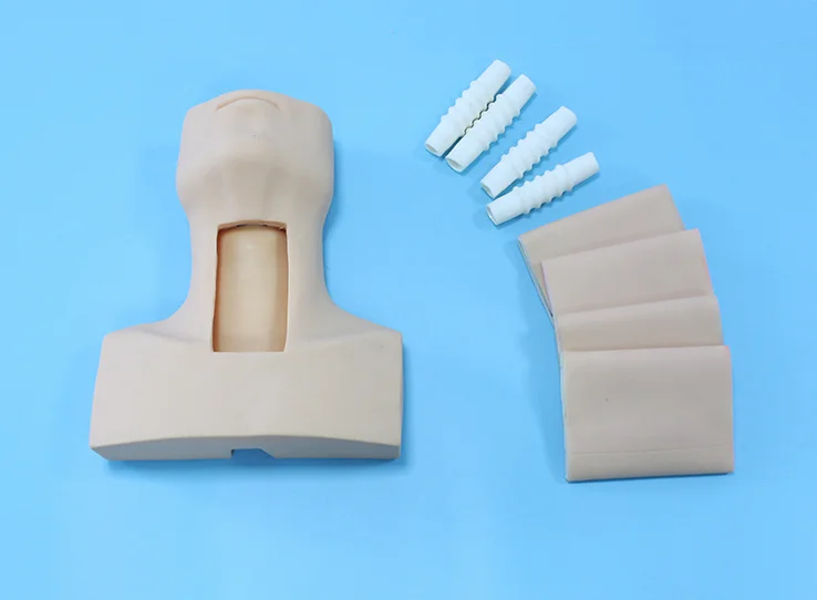 Advanced Tracheotomy Intubation Training Model for Medical Science Teaching