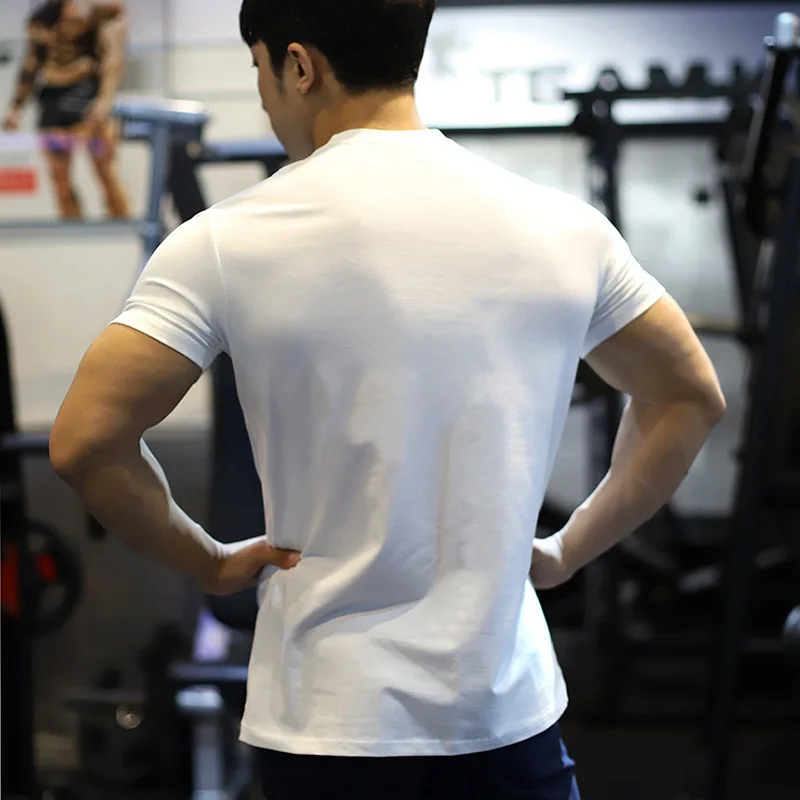 Wholesale Custom Logo Fit Gym Wear Men's t Shirts Elastic Quick-dry Sports  Elastic t Shirts