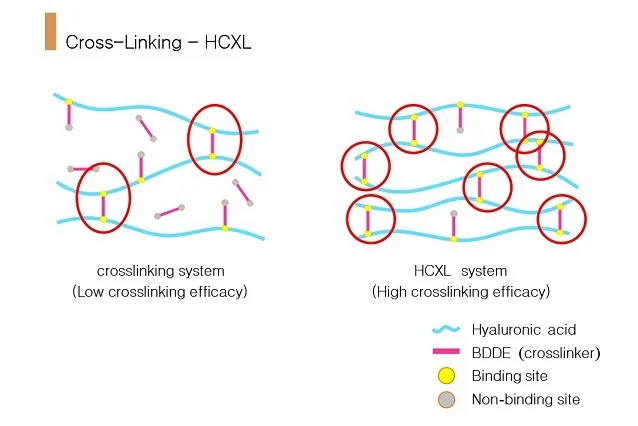 Cross linked. Cross-linked Hyaluronic acid. Cross linked ha. Сшивка гиалуроновой кислоты БДДЕ. Cross linked Hyaluronic acid Harmony.