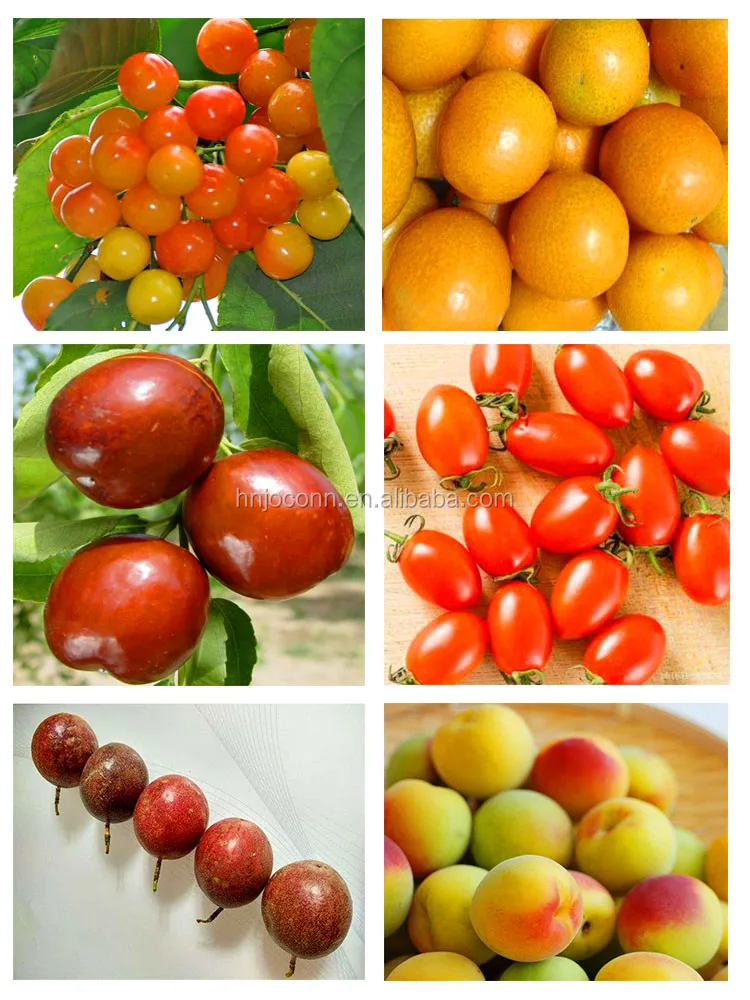 fruit sorting machine12.jpg