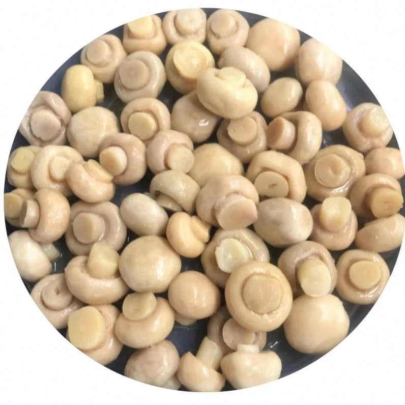 
Whole Brined Champignon Mushroom In Drums 