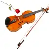 Made In China Chinese Profesional Custom Diy Wood High Quality Solid Handmade Hand Made Making Tool Violin