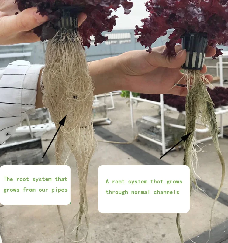 Hydroponic channel X6.jpg