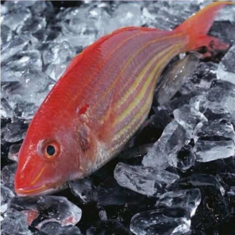 Affordable golden threadfin bream fish delicious frozen fish seafood