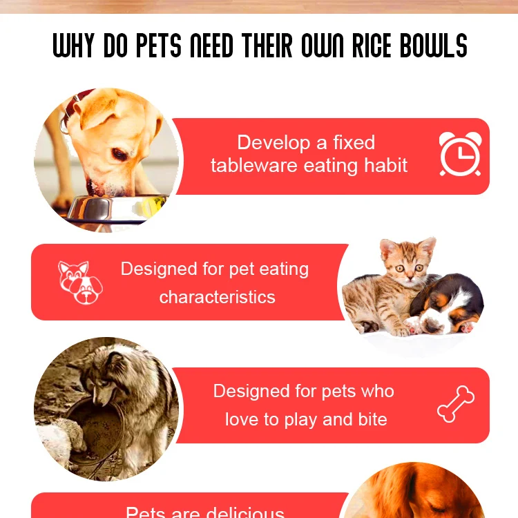 32oz/64oz Pet Bowl For Dog And Cat,Double Wall Insulated Dog Bowl