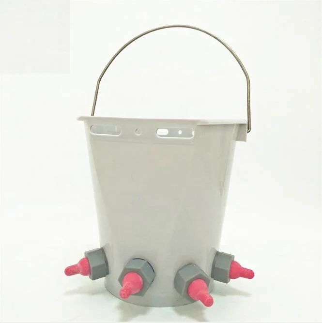 Poultry Farming 8l Volume Cattle Calf Feeding Bucket With Teats Feeder