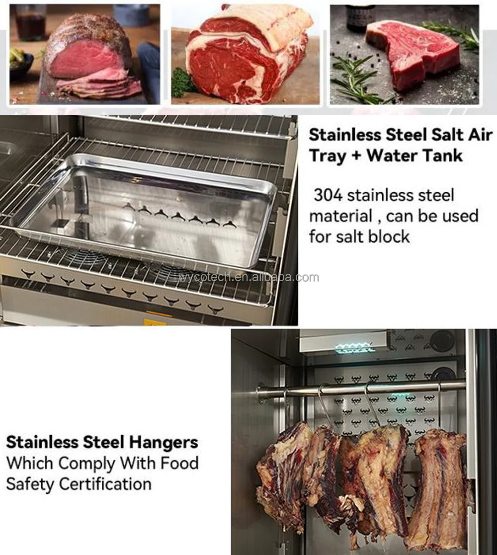 Thawing Equipment, Stainless, Steel - detail 14