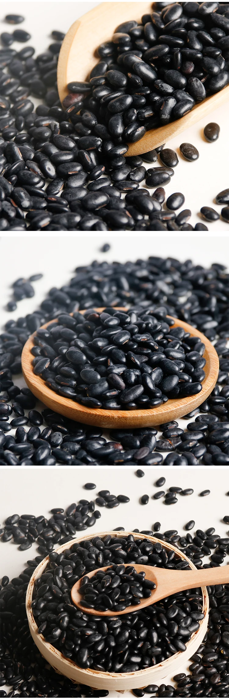 High Quality Big Dried Organic Black Beans wholesale With Yellow Core